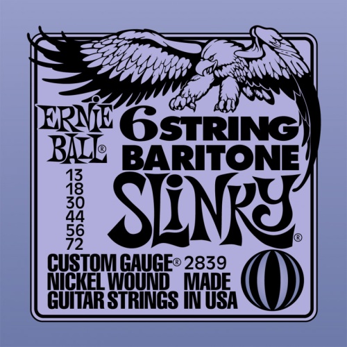 Ernie Ball 2839