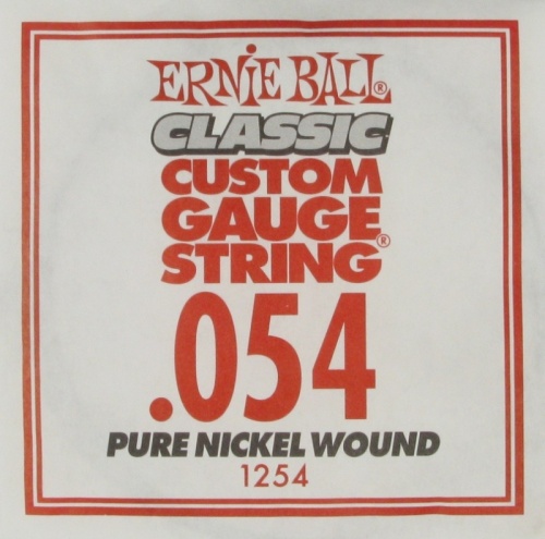 ERNIE BALL P01254