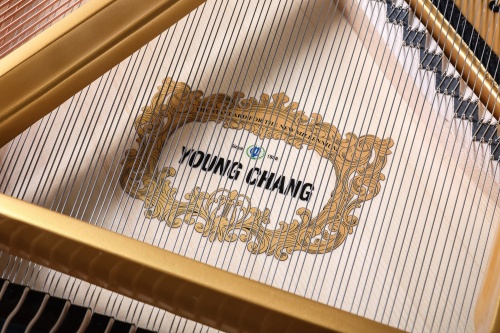 Young Chang YC168E фото 7