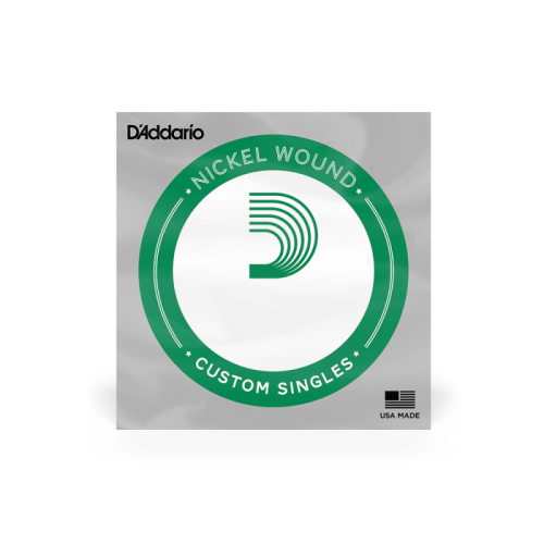 D`ADDARIO NW019