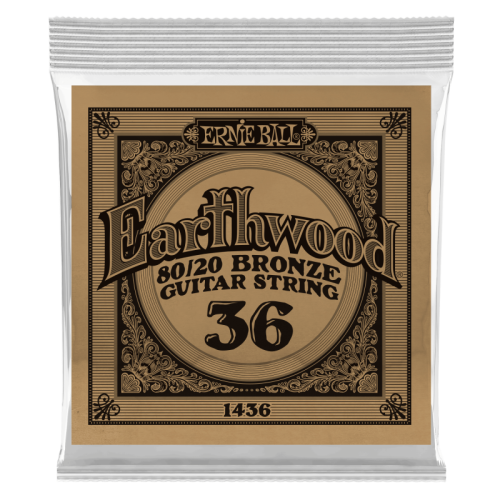 ERNIE BALL P01436